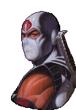 stormshadow.gif